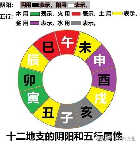 辰的五行|八字十二地支详解——辰